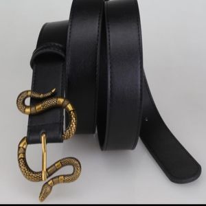 Bältesdesignerbälten för Snake Buckle Men Belt Male Belts Topp Fashion Mens Läderbälte grossist 266K