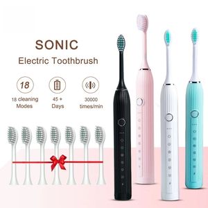 Escova de dentes de dentes elétricos Sonic adulto pincel de dentes de dentes clareamento rápido USB recarregável com a cabeça de substituição 240511