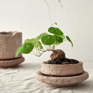 Fioriere vaso di argilla fatta per la casa con pianta verde a martello vintage Pianta verde desktop Piccola con vassoio Rosso Potq240517