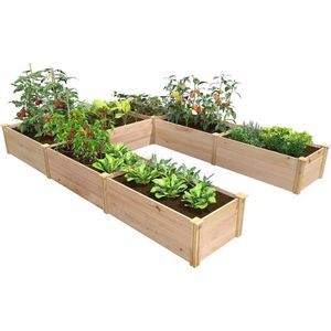 Piantatrici di piante da esterno usate per coltivare erbe piante in fiore letti da giardino da giardino outdoor piante da giardino Q240517