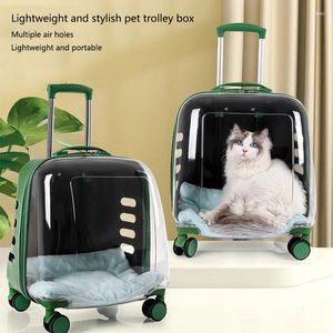 Portatore di gatto per compagnia per gatto per cani bagagli valigie con ruote che trasportano passeggino trasparente in scatola traspirante