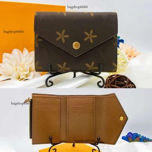 Flower Brown Rosalie Victorine Portfel Women Moneta Tourse Card Holder Man Man Designer Torties Key Oryginalne wydanie S.