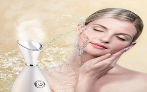 Limpeza profunda Nano Ionic Facial Cleaner Beauty Face Fauming Dispositivo Facial Máquina Facial Máquina Facial Térmica Ferramenta de cuidados com a pele2005326