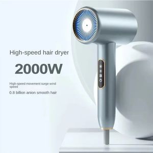 2000W Hair Dryer Professional Negative Ion Low Noise Blow Dryer Electric High Speed Powerful Adjustable Salon Household Dryer 240520