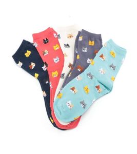 2019 Spring Beef New Sock High Quality Animal Cartoon Cat Pretty For Cotton 5 Color Socks Lovely Women9597066