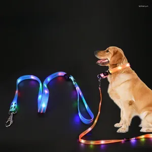 Dog Collars Led Light Up Leash Walking Safety Glow In The Dark USB Rechargeable Adjustable For Large Medium Small Pet Lighted Collar