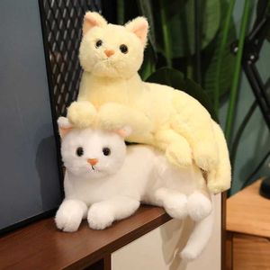 Animais de pelúcia de pelúcia de 30 cm Simulação fofa de gato de gato desenho animado de brinquedos de pelúcia de gatinho de gatinho boneca anime Anime Soft Kids Toys for Girls Kaii Room Decor