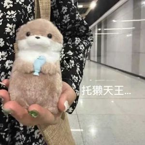 Stuffed Plush Animals New 11cm otter doll Cute little otter small animal plush toy Cute Internet red mini doll table decorated Christmas gift d240520