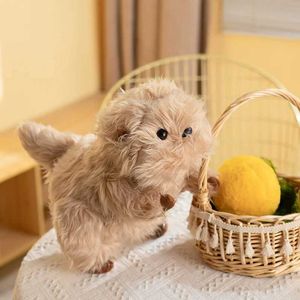 ぬいぐるみのぬいぐるみ30cmかわいいシミュレーションCapybaraぬいぐるみぬいぐるみぬいぐるみぬいぐるみ