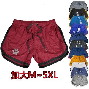 Summer Sports Men's Muscle Fitness Leisure Mesh Tripartite Pants Running Training Beach Quick Drying Breathable Shorts