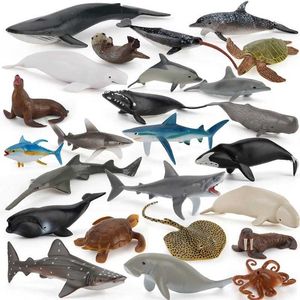 Modelo Conjunto de modelos Mini Diagrama de Ação Animal Marinha Modelo de Auxílios de Ensino do Mundial Breca Azul Biologia Biologia Educação Tubarão Criança Toys S2452196