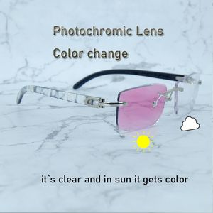 Photochromic Sunglasses Color Changed Two Colors Lenses 4 Season Glasses Interchangble Men Shades Marble Buffs Horn Shades Eyewear 012 Rectangular Glasses