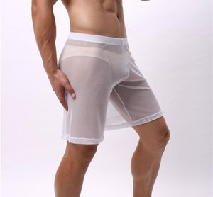 Moda męska letnie spodnie plażowe długość kolan Fetysz bieliznę 50 seksowne ubrania koronkowe klub nocny oddychający rajstopy Mężczyzny Mesh 8358318
