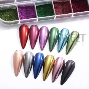 12 kolorów metaliczny proszek paznokcie pigment holograficzny lustro metalowe tarcie na paznokci Pył Brewnik UV Poliska dekoracja paznokci