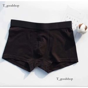 Luxury V Designer Sexy Mens Boxer Underpants Cueca Ropa Interior Hombre Vintage Shorts 984