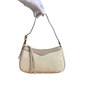 Designer Bag Summer Bag Small Purse Hubo Bag Lady Purse Saddle Bag Mini Shoulder Bag Mirror Quality Bag Pochette Handbag