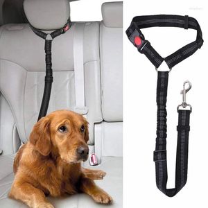 Colarinho de cachorro Tether de cinto de segurança para veículos Leads de segurança de animais de estimação elástica Backseat Clope Collar Travel Diário Uso diário