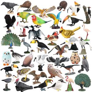 Novelty Games Realistic Miniature Forest Bird Figurine Owl Parrot Toucan Eagle Animals Model Action Figures Educational Children Collect Toys Y240521
