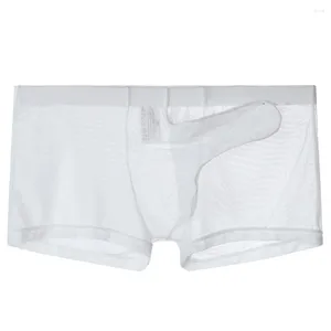 Underpants Sexy Men's Underwear Ultra-thin Sheer Mesh Breathable Panties Elephant Trunk Full Transparent Boxer Shorts Quick-drying