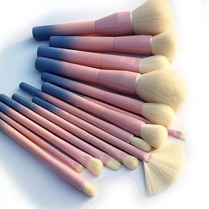 Pincéis de maquiagem de cor de cor de gradiente Pro 14pcs Definir kits de pincel de delírios em pó cosméticos