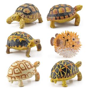 NOVIDADE JOGOS TOYS GORES DE PRESENTES PARA CRIANÇAS Ação da Tartaruga Infantil Figura Oceano Vida marinho Fatuetas Aquarium Tortoise Modelos Coleção Figuras Y240521