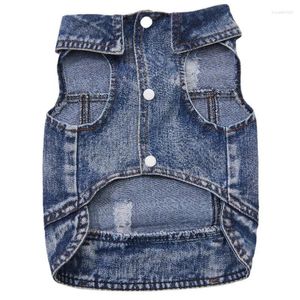 Abbigliamento per cani vestiti estivi primaverili bichon frize costume da compagnia strappata in denim strappato