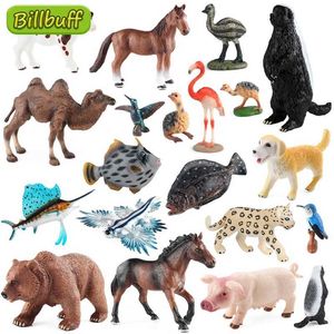 ROVA JOGOS 2023 Wild Animal Bird Horse Ovelha Cat Spider Wolf Modelos de leopardo Figuras Figuras Figuras Coleção Miniatura Brinquedos para crianças Y240521