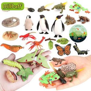 ROVA GAMES mais recentes Animais da vida PANDA MOTH CYCLO DE VIDA PENGUIN FIGURINAS DIY Ação Figuras Early Education Toys for Children Y240521