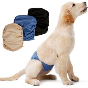 Abbigliamento per cani pantaloni fisiologici pannolino pannolino lavabile cortometrali per animali domestici sanitari cinghia di ventre mutande per cani gatti