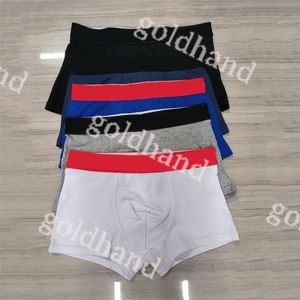Designer Mens Boxer Shorts Underpants Soft Cotton Breathbale Underpants Sexy Male Underwear