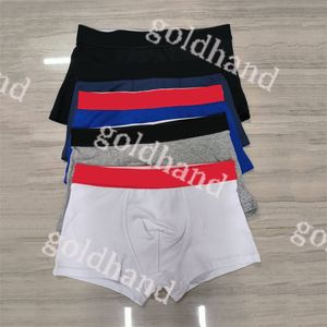 Designer Mens Boxer Shorts Underbyxor Soft Cotton Breathbale Underpants Sexiga manliga underkläder