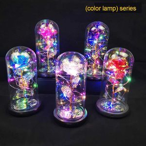 Oggetti decorativi Figurine a corda fata Luce con copertura di vetro a LED Affascinante Via lattea di rosa sottile flessibile Flower Decorazione della casa in plastica fatta a mano H240522