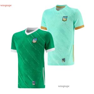 2023 Limerick GAA 3 Şerit Ev/Kaleci Jersey