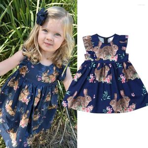 Abiti da ragazza 2024 adorabili abiti da principessa abiti da principessa di cotone pasqua cotone outfit abiti estivi per bambini 6m-4t