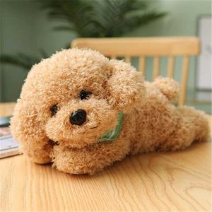 Dolls de pelúcia realidade macia Teddy Dog Plush Toy Fun Simulation encher Little Dog Doll Birthday Birthday Gift H240521 LPNU