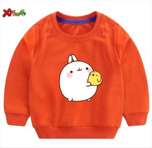 Toddler Baby Hoodie Girls Fashion Bluzy Dzieci Chłopcy Kreskówka z długim rękawem Dzieci Molang i Piupiu Cute T Shirt Outerwear 255K2412765