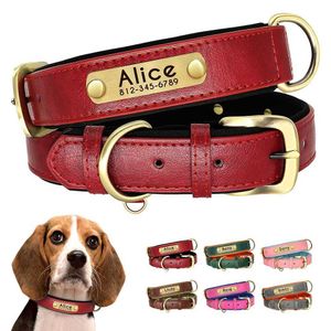 Hundekragen Leinen Personalisierte Kragen Customized Leder gepolstert kostenlos graviertes Ausweis Tagschild für kleine mittelgroße Hunde Bulldog H240522