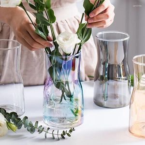 Vazolar sanat şeffaf teraryum vazo orijinal çiçek dekorasyon estetik korkak modern minimalist vasi başına fiori ev dekorasyonları