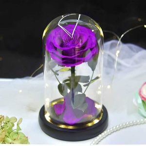 Objetos decorativos Figuras dos pequenos príncipes eternos rosa flor artificial flor selvagem lâmpada de vidro Caixa de vidro namoradas
