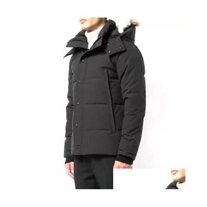 Mens Down Parkas Winter Fourrure Parka Homme Jassen Chaquetas Overwar