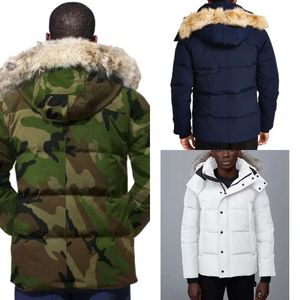 Wintermänner Down Jackets echter Kojote -Pelzdesigner Homme Puffer Outdoor Windbreaker Jassen Oberbekleidung Kapuze mit vierer Mutters Jacke s.