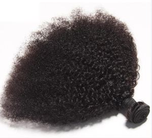 Brasiliansk jungfrulig mänsklig hår afro kinky curly obearbetat remy hår väver dubbel wefts 100g/bundle 1bundle/party kan färgas blekt gxegrel