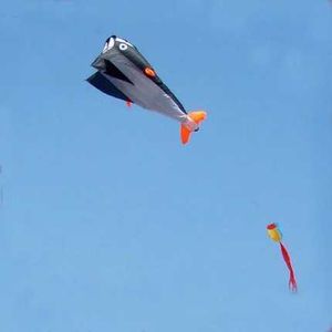 Kite Accessoires Outdoor Fun Sport 2,1m 3D Delphin -Software Power Kite mit Griff und String Good Flying