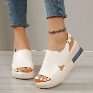 Solid Sandals Women 2024 Летний клиновый цвет открытые пальцы на высоких каблуках повседневные дамы пряжки мода M 439
