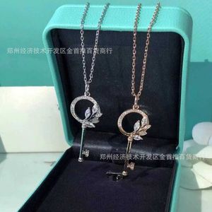 Designer's Brand Light Luxury Leaf Flower Horse Eye Diamond Pendant Vine Key Necklace Female