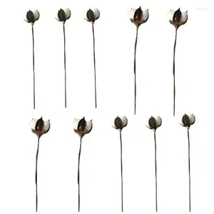 Dekorative Blumen 10 Stcs/Set natürlich Baumwollstämme Bauernhaus künstliche Blumenfüller Blumendekor Gefälschte DIY -Material Girlande Haus