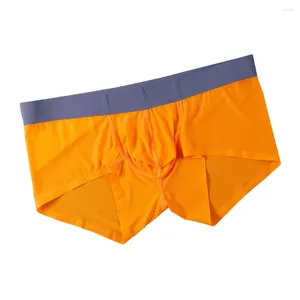 Underpants Mens Sheer Boxer Briefs Soft Comfy Underwear Thin Trunks Shorts Bulge Pouch Teenage Breathable Boxers Young