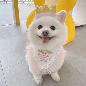 Dog Apparel Cute Lace Embroidered Pet Birthday Party Supplies Cats Puppies Bibs Bichon Riangle Scarf Type Accessories