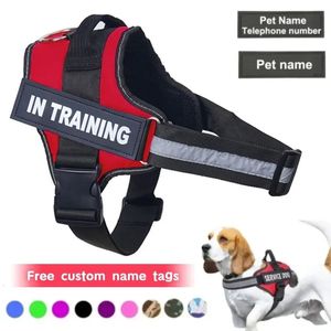 Soltar o chicote de cão personalizado reflexivo ajustável cão tanque top tampa grátis nomes personalizados rótulo de treinamento de cães 240518