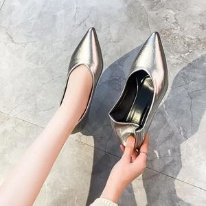 Casual Shoes Women's Boat Point Toe Pumps Kattunge Heel Dress Silver Office Work for Female Black Spring Autumn